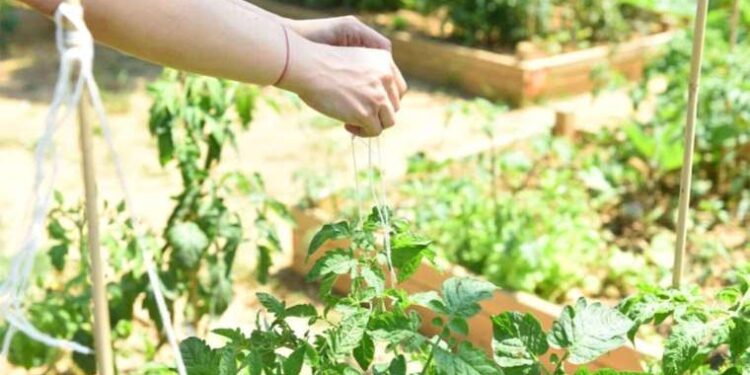 Putin, Belarus Devlet Başkanı Lukaşenko ile bir araya geldi