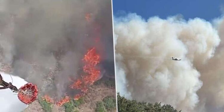 Manisa ve Kahramanmaraş'ta orman yangını: Alevler yerleşim yerlerine ulaştı, bazı evler yandı