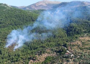 Muğla'da ormanlık alanda korkutan yangın: Müdahale sürüyor