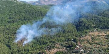 Muğla'da ormanlık alanda korkutan yangın: Müdahale sürüyor