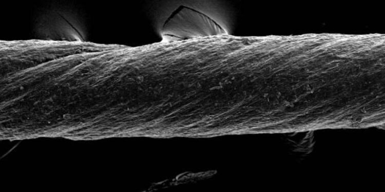 Sanat, internette de mutluluk veriyor