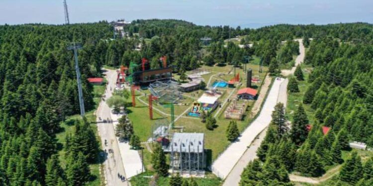 ABD’de silahlı saldırı: 4 kişi öldü