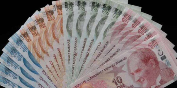 Türkiye Akbelen’i konuşurken… Kaz Dağları ‘yangınla mücadele’ adı altında katlediliyor