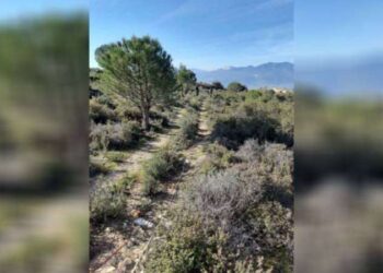 Muğla'da yeni maden tehdidi