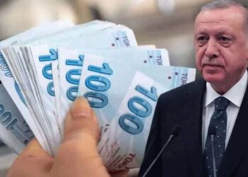 Cumhurbaşkanı Yardımcısı Cevdet Yılmaz, Erdoğan'ın maaş zammını böyle savundu: 'Genel müdür maaşının altında kalacaktı'