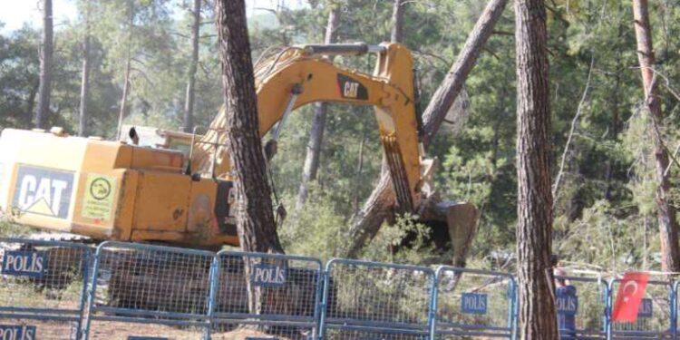 Müzisyen Serhasi'nin nöbette bestelediği şarkı direnişin simgesi oldu: Ağaç da vatana dahil!