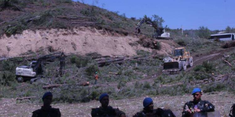 Akbelen'i savunan kadınlar: Tek bir dal kalana kadar direneceğiz