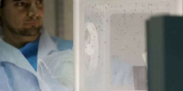 arabam.com açıkladı: Temmuz ayında ikinci el ilanları yüzde 25 arttı