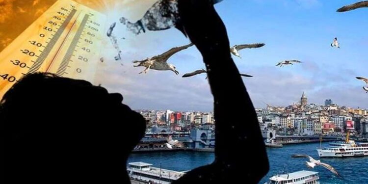 İhbarla ortaya çıkmıştı: Şile’de denizde bulunan top mermileri imha ediliyor