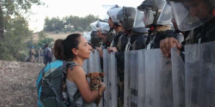 Cumhuriyet muhabirlerinin kareleriyle Akbelen direnişi... 'Yastayım'