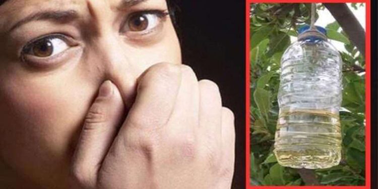 Sanat severler Datça’da Can Yücel için buluşacaklar