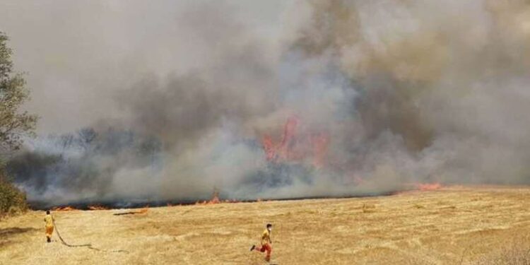 Son Dakika: Balıkesir ve Hatay'da orman yangını çıktı!