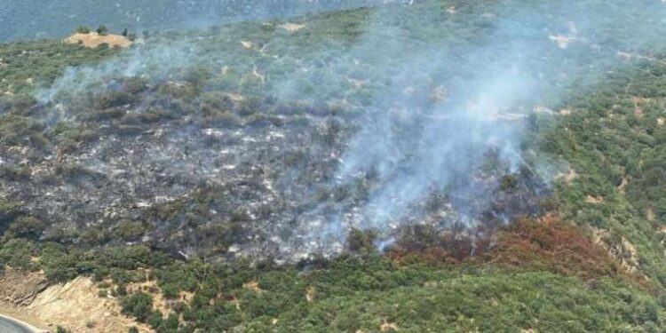 Son dakika… Veliefendi Hipodromu kundakçısı yakalandı