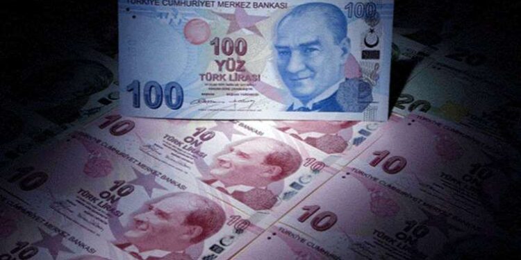 TL’nin reel değeri temmuzda geriledi