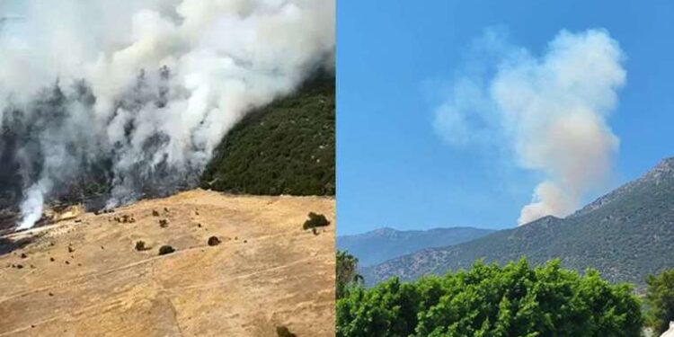 Warner Bros. ve Discovery birleşmesi 1.8 milyon abone kaybettirdi