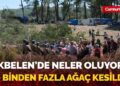 Bakırköy’de korkunç kaza: TIR’ın altında kalan engelli yurttaş hayatını kaybetti