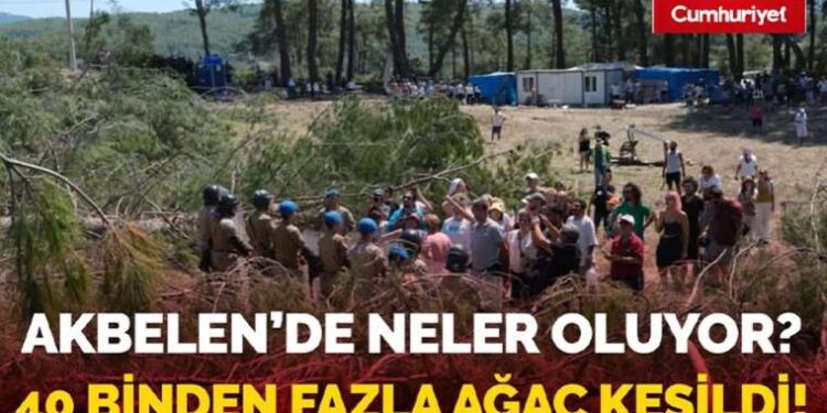 Bakırköy’de korkunç kaza: TIR’ın altında kalan engelli yurttaş hayatını kaybetti