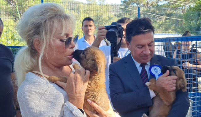 Ajda Pekkan Bodrum'da Hayvan Barınağını Ziyaret Etti