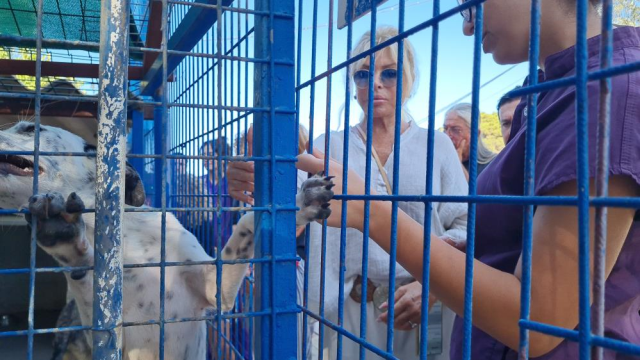 Ajda Pekkan Bodrum'da Hayvan Barınağını Ziyaret Etti