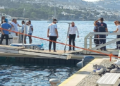 Ali Sabancı ve Vuslat Doğan Sabancı'nın geçirdiği deniz kazasını çiftin yakınları ve olayın tanıkları anlattı