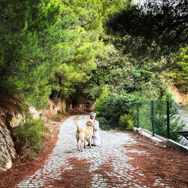 aslihan-gurbuz-den-evlenip-iki-cocuk-yapmalisin-16318814_5224_m Aslıhan Gürbüz'den 'Evlenip iki çocuk yapmalısın' diyen takipçisine sert tepki: Bu hesaptan defolup gitmelisin