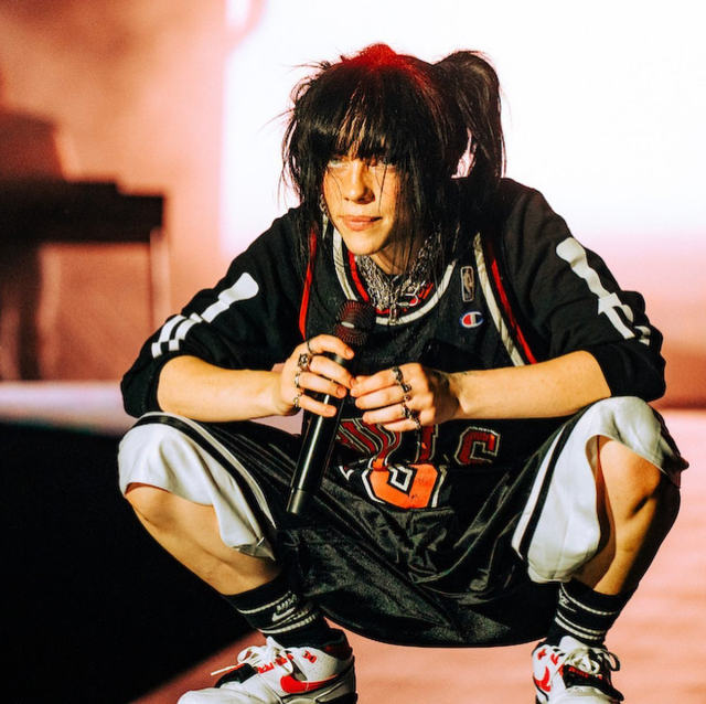 Dünyaca Ünlü Şarkıcı Billie Eilish, tarifeli uçakta görüntülendi