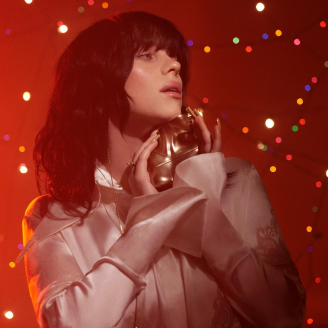 Dünyaca Ünlü Şarkıcı Billie Eilish, tarifeli uçakta görüntülendi