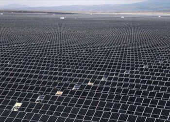 Çocuklar için acı tablo: ‘Yaralama, hırsızlık ve uyuşturucu…’