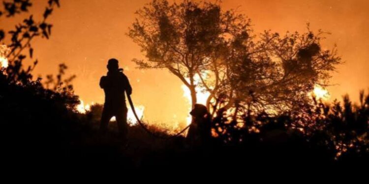 Tarım Orman-İş Başkanı Şükrü Durmuş’tan ‘Çanakkale’ açıklaması: Yangınlar tesadüf değil