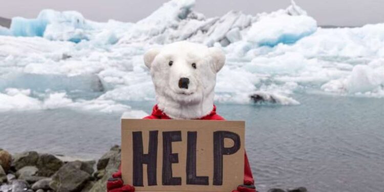 2100 yılına kadar bir şey yapmazsak nesilleri tükenecek