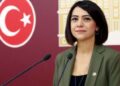 CHP'li Gamze Taşcıer: Ekonomik kriz halk sağlığı için tehdit
