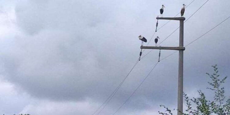 Afganistan’ın gizli kız okulları