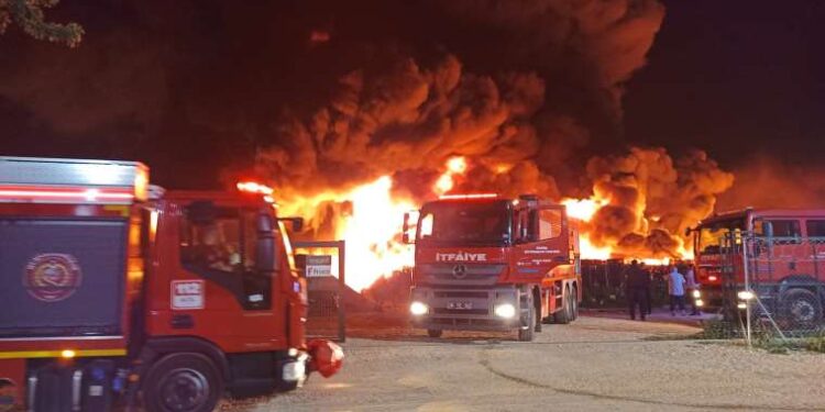 Canlı yayın sırasında muhabiri ‘taciz’ eden erkek tutuklandı