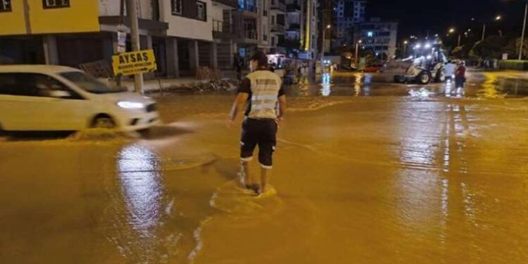Anadolu Otoyolu’nda korkunç kaza… Minibüs, tomruk yüklü TIR’a çarptı: 1 ölü, 20 yaralı