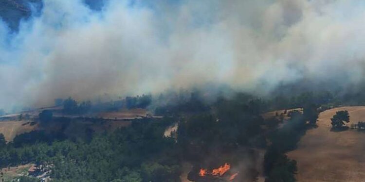 Çanakkale’deki yangının boyutu gün ağarınca ortaya çıktı!