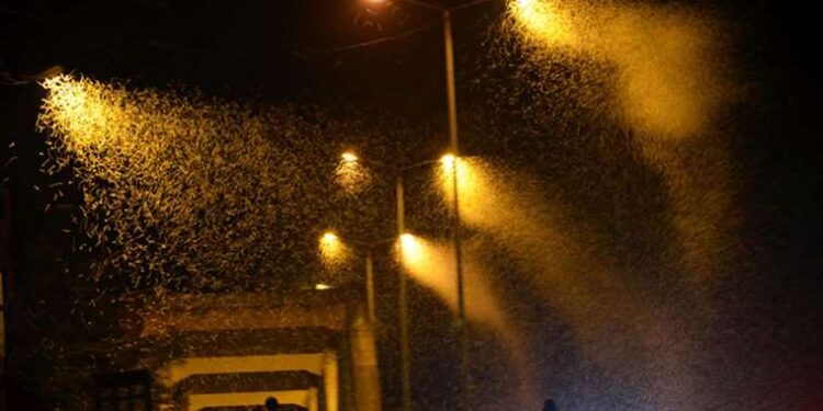 Ankara’da silahlı kavganın şüphelileri kaçarken yayalara çarptı: 2’si silahla 4 yaralı