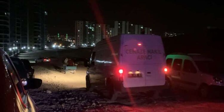 Sakarya’da milyonlarca kelebeğin ‘ölüm dansı’