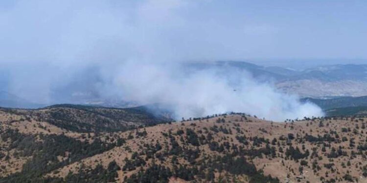 Japon dağcı, Pakistan’da zirve tırmanışı sırasında düşerek öldü
