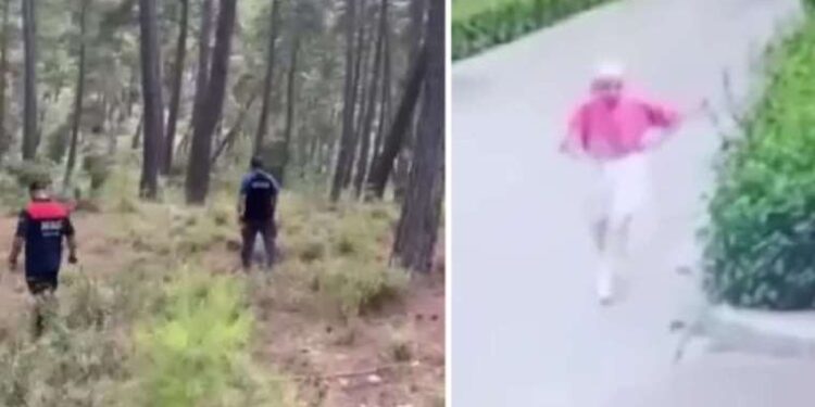 Pakistan’ın eski Dışişleri Bakanı Kureyşi gözaltına alındı