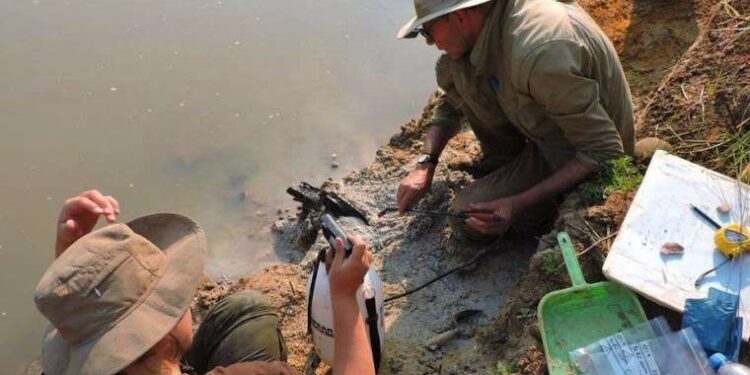 500 bin yıllık ahşap yapı bulundu: ‘Atalarımız hakkındaki düşünceleri değiştirebilir’