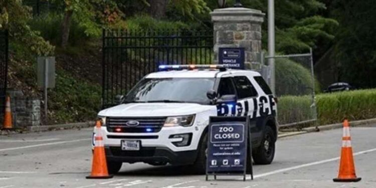 Sahildeki kayalıklarda göğsünden vurulmuş halde ölü bulundu