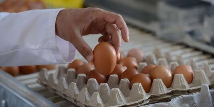 Bir gün bir günü tutmuyor... Market raflarında fiyatı 120 liraya kadar çıktı!