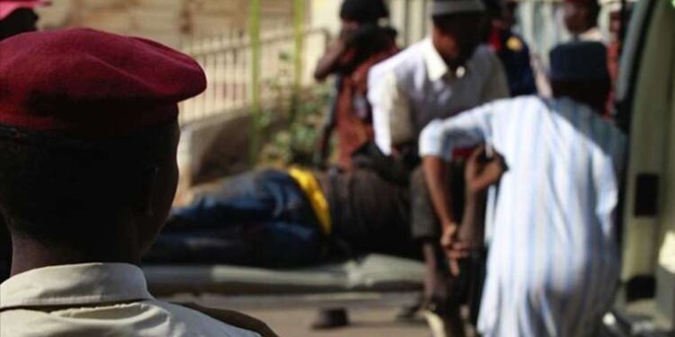 Hayvanlara şiddet devam ediyor: Parkta yavru kedilerin zehirlendiği iddiası