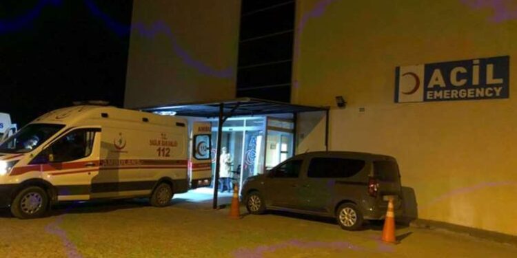 Bilim İnsanları, büyük ‘nüfus ayarının’ geldiğini söylüyor