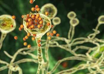 Uzmanından sivrisinek ısırıkları ile ilgili tavsiyeler