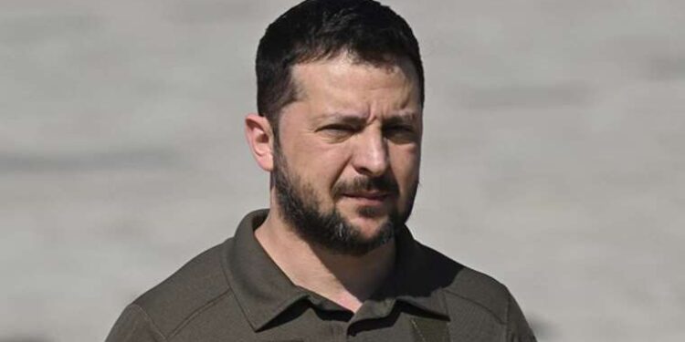 Yer Esenyurt… Kediyi pembeye boyayıp sokağa saldılar!