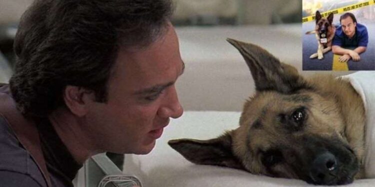 Pes dedirten hırsızlık: ‘Sahte polis’ rolüyle kıyafet çaldı