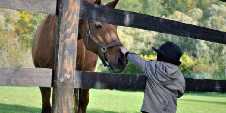 Metaverse oyunu Roblox PlayStation’a geliyor