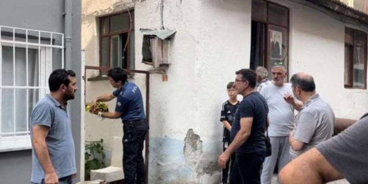 Çin yapay zeka destekli dil modelinin yeni sürümünü tanıttı