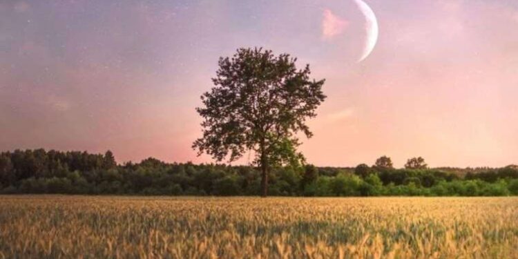 Ekinoks nedir? 2023 Sonbahar Ekinoks ne zaman? Sonbahar ekinoksu ne zaman gerçekleşecek?